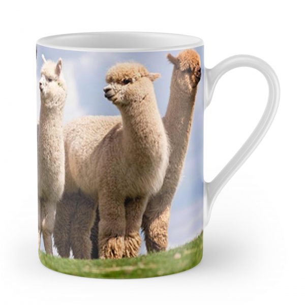 Taza lugares - Imagen 4